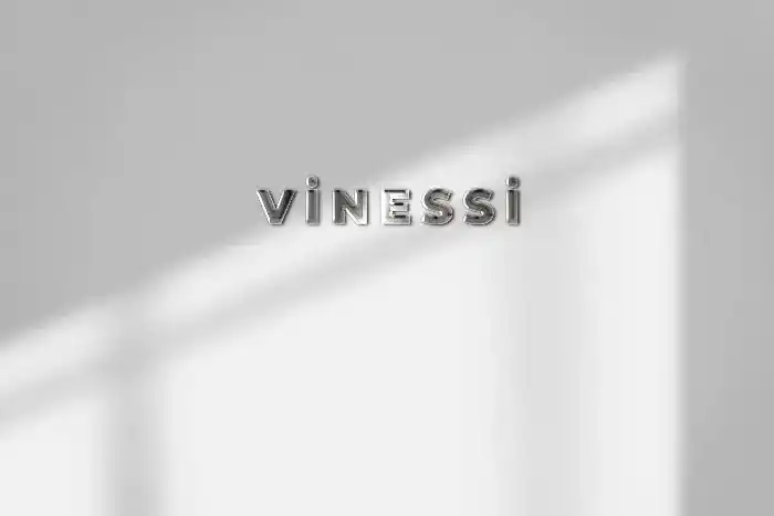 Vinessi