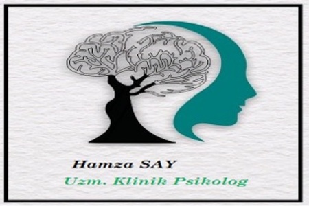 Van Psikolog Hamza Say