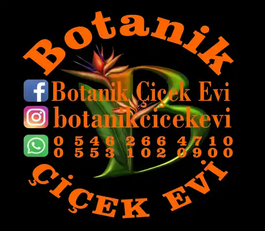 Botanik Çiçek Evi