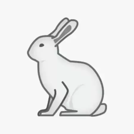 Bunny Digital Company