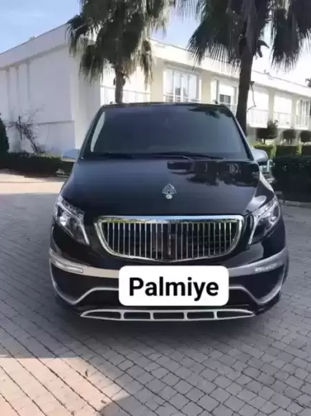 Palmiye Vip Transfer