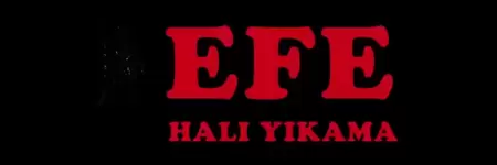 Efe Halı Yıkama İzmir