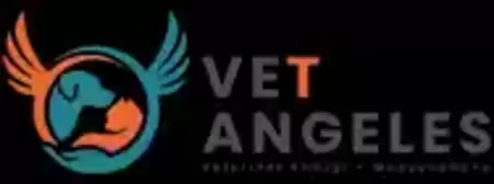 Vet Angeles