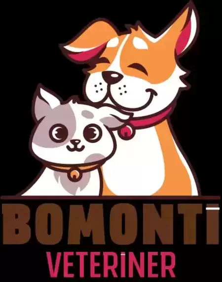 Bomonti Veteriner