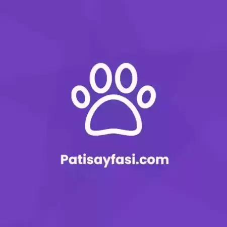 Patisayfasi.com